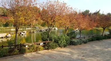 Düdük Baba Oramanı