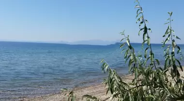 Arıklı Birlik Camp
