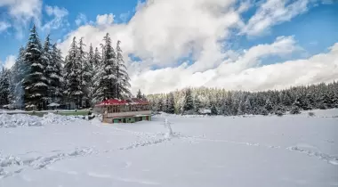 Başkonuş Yaylası