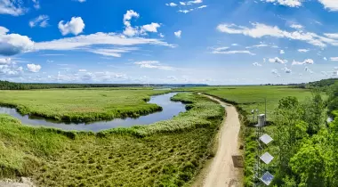İğneada Longoz Ormanları Milli Parkı
