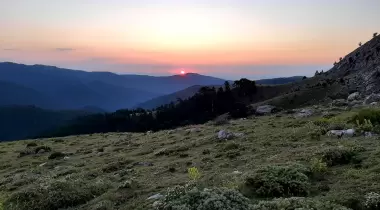 Melikler Yaylası Kamp Alanı