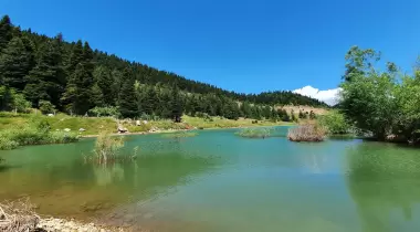 Başkonuş Yaylası