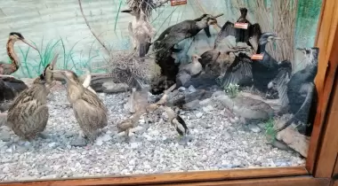 Kuş Cenneti Milli Parkı