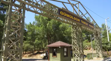 Gümüldür Orman Kampı