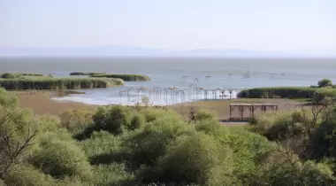 Kuş Cenneti Milli Parkı