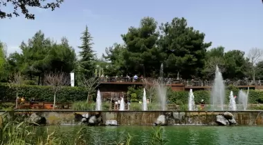 Düdük Baba Oramanı