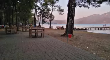 Çubucak Orman Kampı