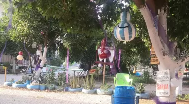 Mavi Yeşil Çadır Kamp Alanı