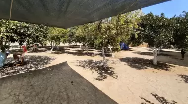 Şirinler camping adrasan