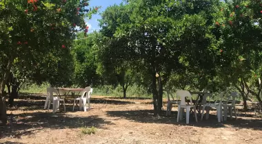 GONCA CAMPING ADRASAN