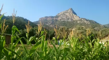 Secret Garden Kabak