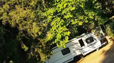 Tavus Kuşu Camping