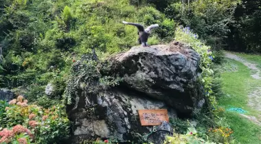 Kartal Vadisi Dağ Evleri