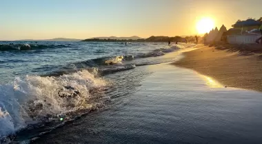 Gümüldür Orman Kampı