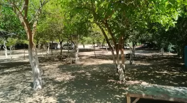 Toprak Kamping