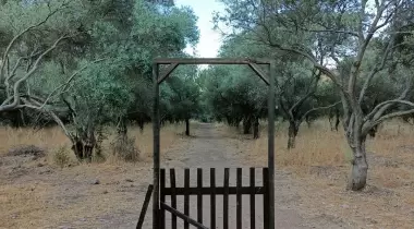 Zeytinlik Kamp Olivium