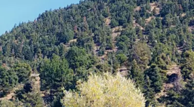 Yakamanastır Tabiat Parkı