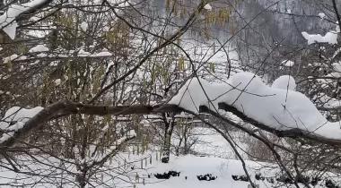 Kocaeli İzcileri Aksığın İzci Evi