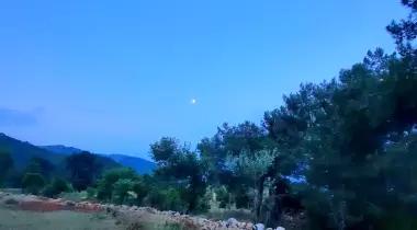 Çeti Camping