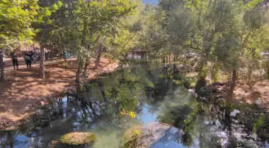 Yeşilgöz Mesire Alanı