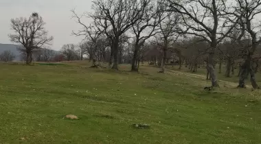 Kurudere Kamp Ve Piknik Alanı
