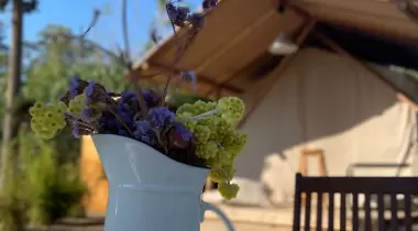 No12 Gümüşlük Glamping