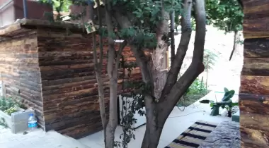 Kamp Alen İncekum