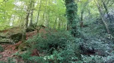 Suuçtu Tabiat Parkı