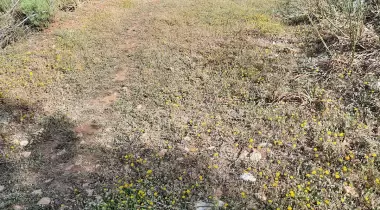 Çeti Camping