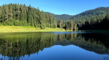 Eğriova Göleti Kamp Alanı