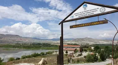 Davutoğlan Yaban Hayatı Geliştirme Sahası