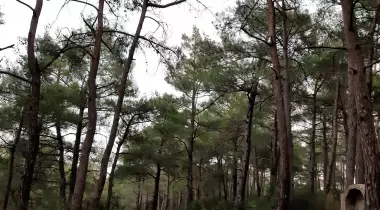 Kamp Adana Macera Parkı Kamp Alanı