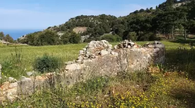 Çeti Camping