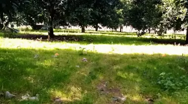 Masal Bahçesi Camping