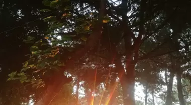 Göl eğlence camping