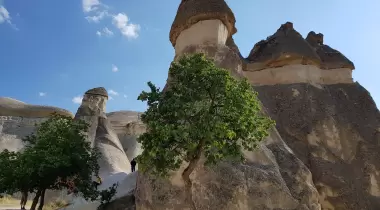 Paşabağları Müze ve Örenyeri