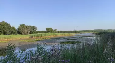 Danamandıra Tabiat Parkı