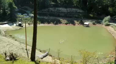 Avdanaltı Mesire Yeri