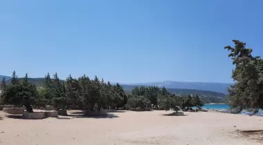 Ardıç Kamping