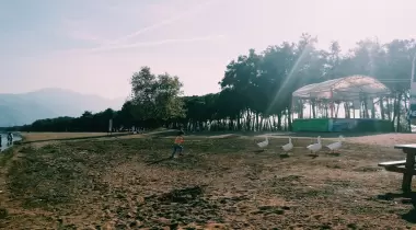 Kamp Alanı İznik Gölü