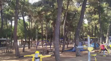 Kamp Alanı İznik Gölü
