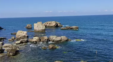 Diriliș Koyu
