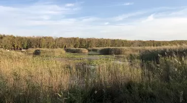 Danamandıra Tabiat Parkı