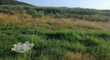 Danamandıra Tabiat Parkı