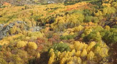 Çubuk Karagöl Tabiat Parkı