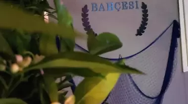 Masal Bahçesi Camping