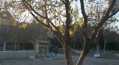 Göreme Kamp