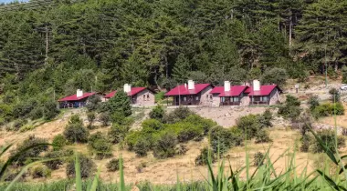 Bolu Karagöl Tabiat Parkı