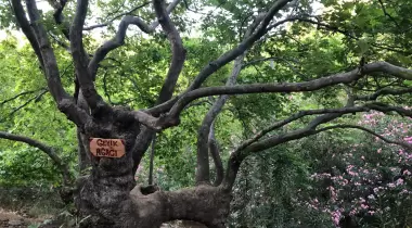 İzmir Nebiler (Aşıklar) Şelalesi