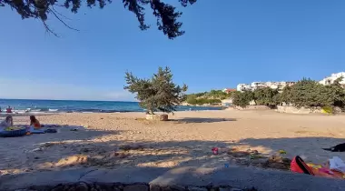 Ardıç Kamping